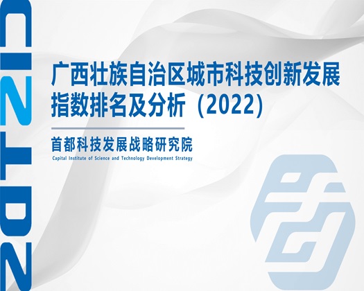 陌操爽视频免费【成果发布】广西壮族自治区城市科技创新发展指数排名及分析（2022）